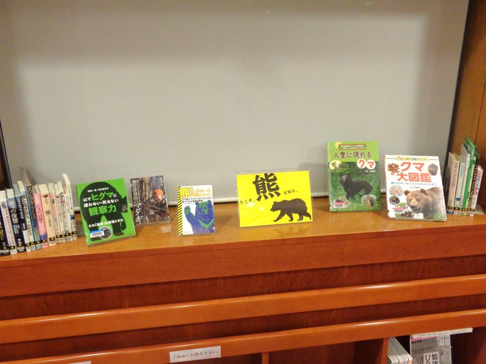 「今こそ、熊を知る。」図書展示風景